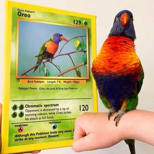 portrait d'animal de compagnie personnalisé, portrait d'oiseau personnalisé, cartes pokémon personnalisées, cartes pokémon VOS PROPRES MÉTAL personnalisées, cadeaux pokemon, trucs pokemon