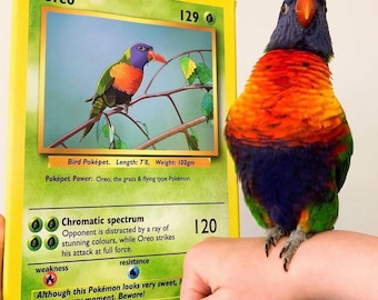 custom pet portrait, custom bird portrait, custom pokemon cards, personalized YOUR OWN METAL pokémon cards, pokemon gifts, pokemon stuff