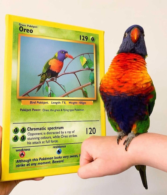 Custom Pet Portrait, Custom Bird Portrait, Custom Pokemon Cards,  Personalized YOUR OWN METAL Pokmon Cards, Pokemon Gifts, Pokemon Stuff -  Etsy