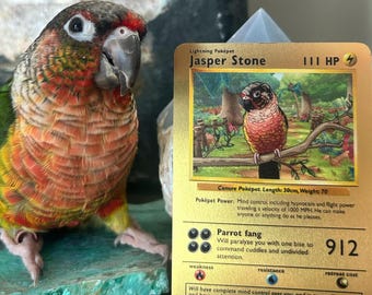 custom pet portrait, custom portrait, custom pokemon cards, personalized YOUR OWN METAL pokémon cards, pokemon gifts, pokemon stuff