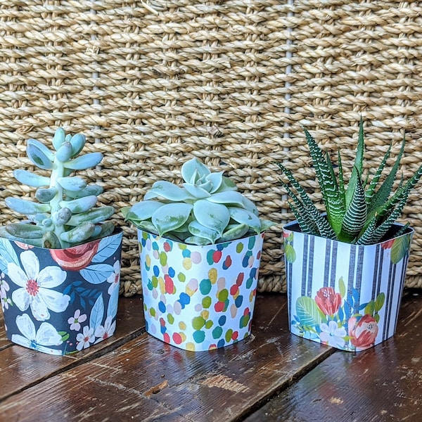 Succulent Wraps, 5 Succulent Favors, 2” Plant Wrap, Custom Succulent Pot Cover, Wedding Favor, Baby or Bridal Shower, Party Decorations