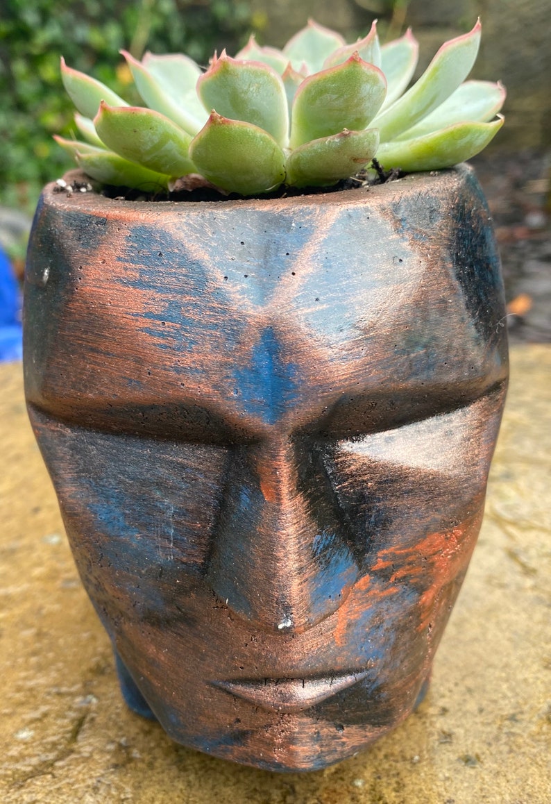 Handmade Polygon Head Plant Pot &amp; Live Succulent. Gift