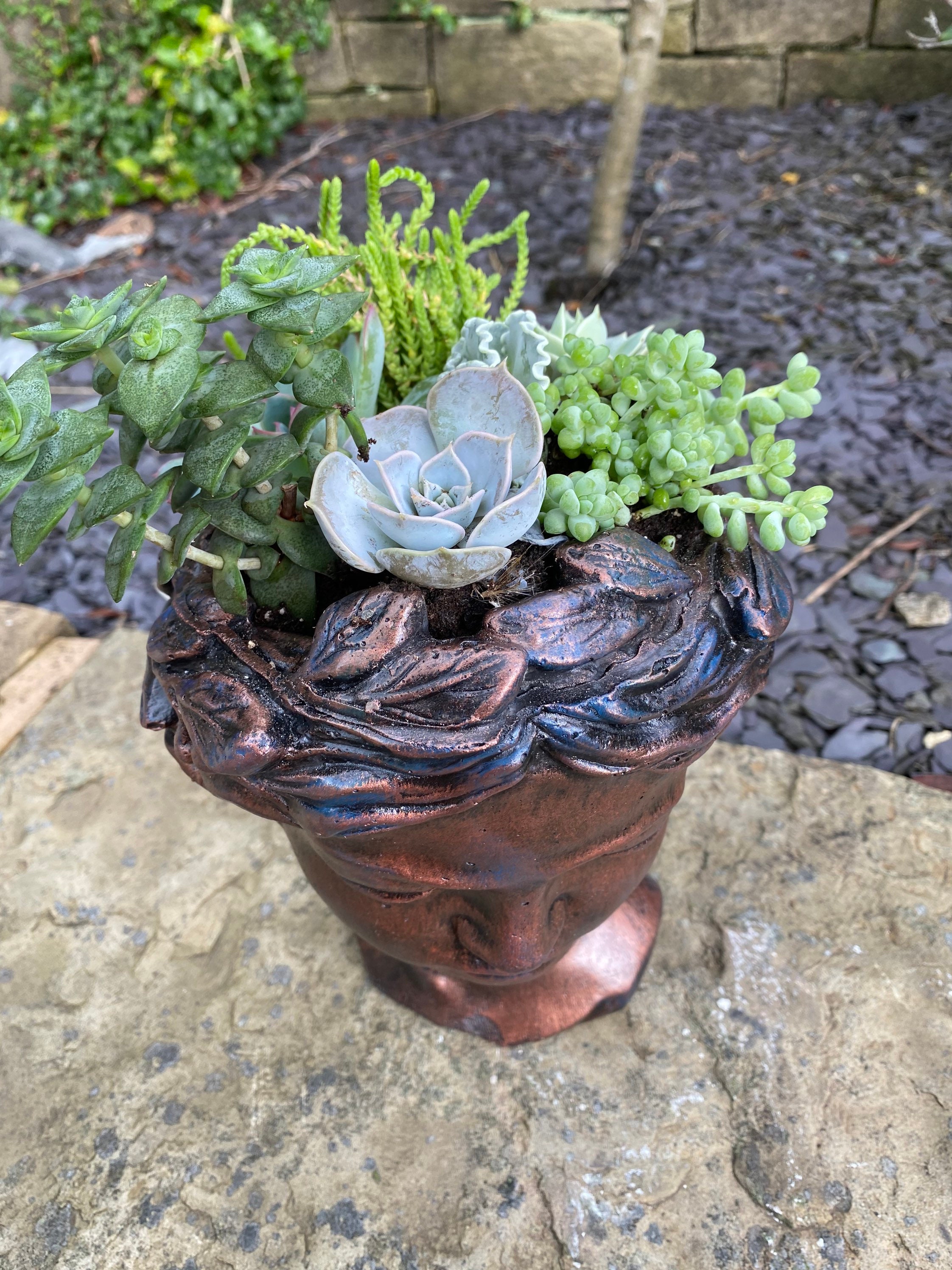Handmade Lady Head Plant Pot For Succulents. Gift Present For Etsy
