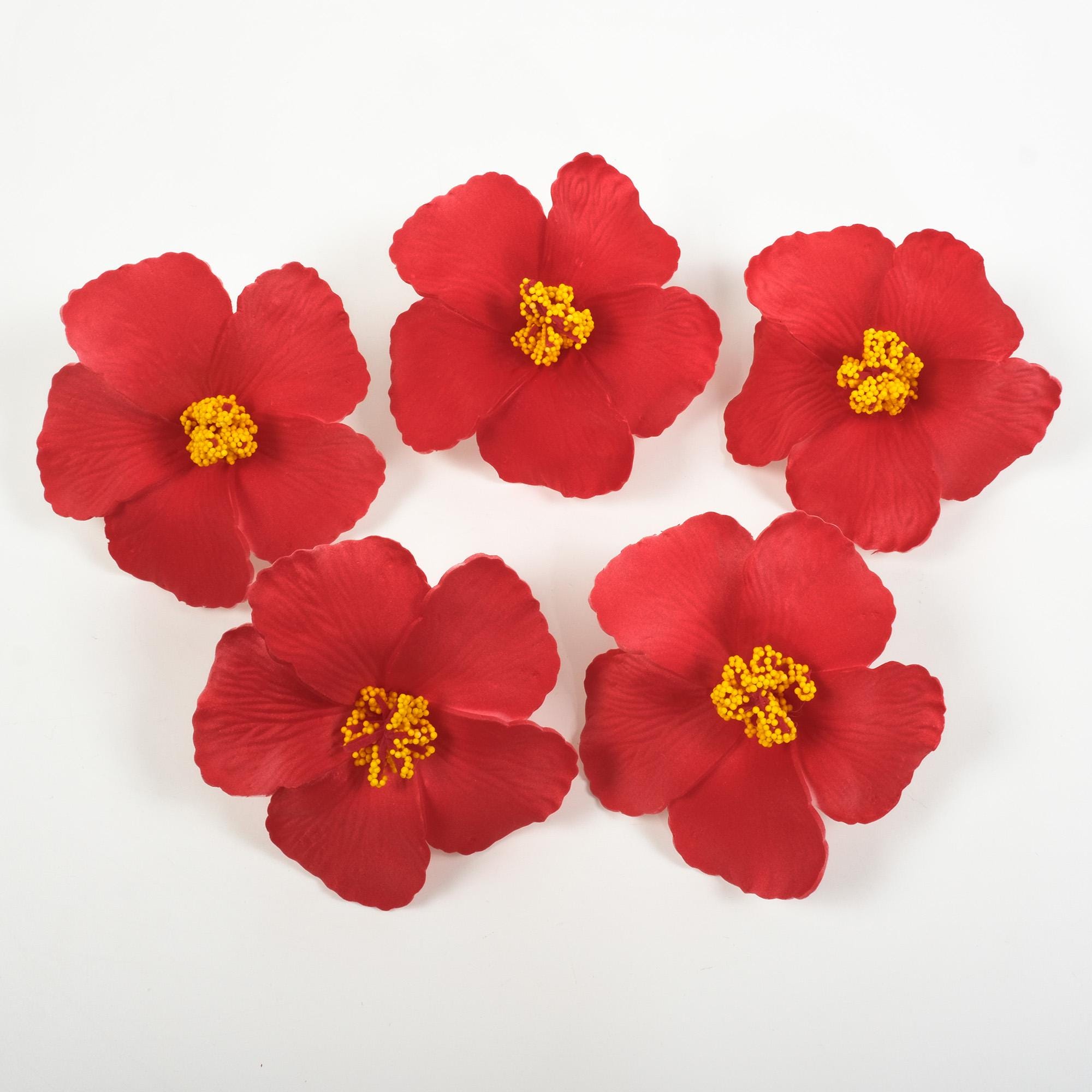 Hawaiianische Blumen-Haarspangen – 10-teiliges Set Mit Hibiskus & Plumeria, Bunt & Vielseitig Für Damen & Mädchen