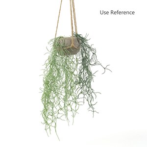 Puede incluir: Una maceta colgante con una maceta gris de aspecto pétreo y un follaje verde largo y colgante. La maceta está suspendida de una cuerda de yute natural.