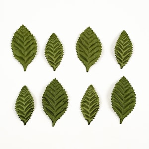Puede incluir: Ocho hojas verdes de tela con vetas detalladas dispuestas sobre un fondo blanco. Las hojas varían en tamaño y tienen un aspecto texturizado y ligeramente brillante. Las hojas son de un verde oliva intenso.
