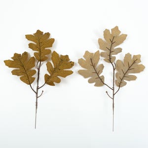 Puede incluir: Dos ramitas de hojas de roble falsas, una con hojas marrones y la otra con hojas beige.