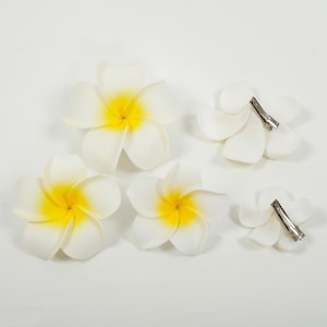 10 Hawaii-Blumen-Haarspangen – Plumeria-Motive, 7,9 Cm, Zufällige Farben