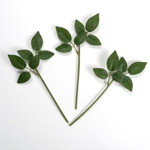 May include: Three artificial rose stems with green leaves. Each stem has multiple leaves and a long, slender stem. The leaves are a deep green colour, and the stems are a lighter green. The stems are arranged on a white background.