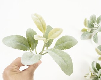 May include: Close-up of artificial lamb's ear plant stems with soft, velvety green leaves and a light, dusty appearance. The leaves have a subtle, textured surface. The stems are held by a hand against a white background. Decorative plant.