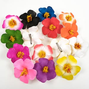 Op de afbeelding: Een verzameling kleurrijke bloemvormige haarclips in verschillende tinten, waaronder roze, rood, oranje, geel, groen, blauw, zwart, wit en paars. Elke clip heeft een gedetailleerd bloemontwerp met een gele kern en een metalen clip aan de achterkant.