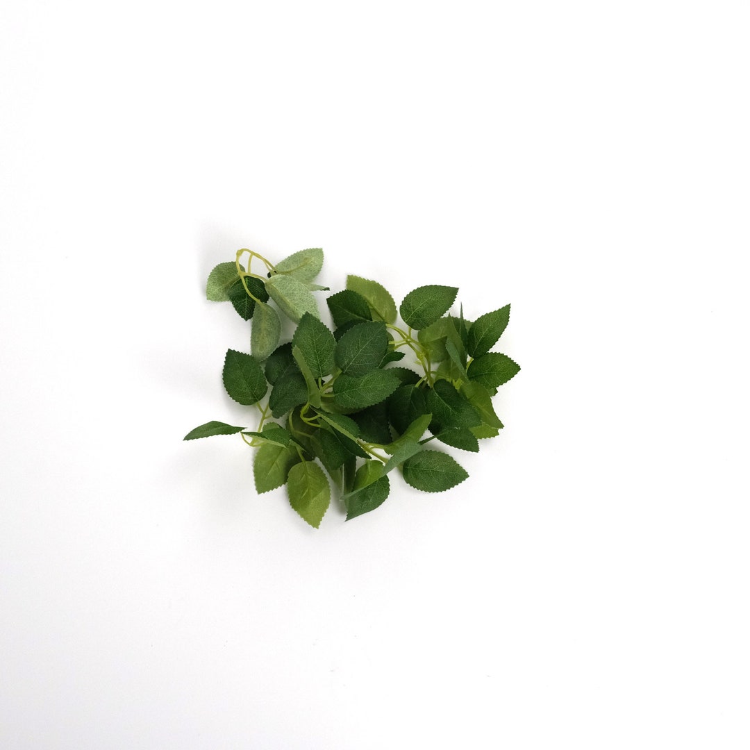 Artificial Silk Fake Green Leafrose Flower/faux Leaves Etsy