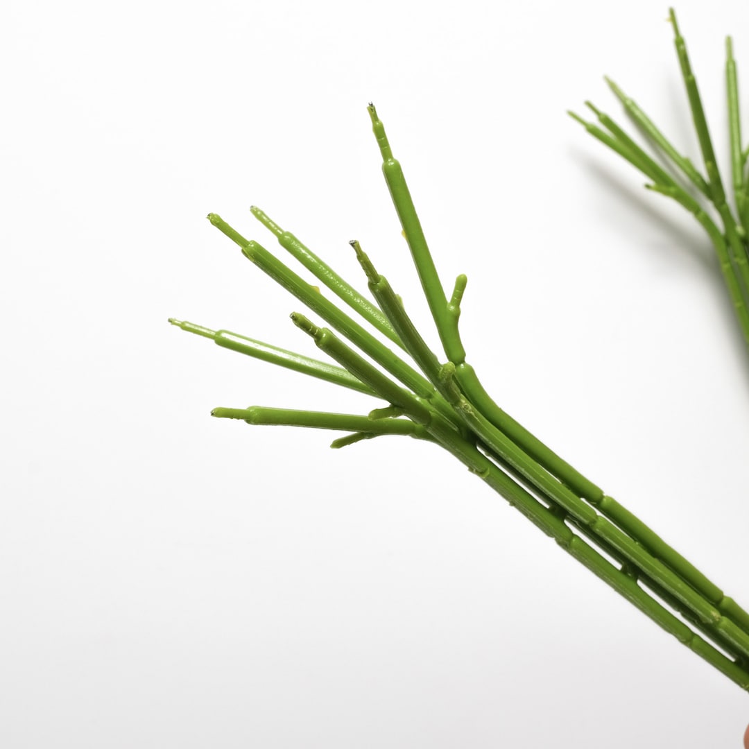 8-Quart Digital Air Fryer