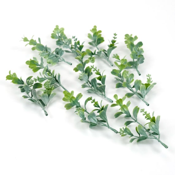 Knstliche Buchsbaum 5 ''groe staubige Pflanze fr DIY Craft Bouquet Sprig  Winzige falsche Blume Kleiner Fllstoff Blumenkunstblume  Hochzeitsdekozubehr - Etsy sterreich