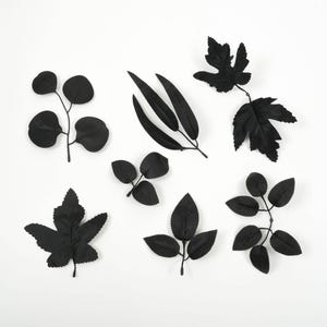 Puede incluir: Una colección de hojas negras en silueta sobre un fondo blanco. Las hojas están dispuestas en una variedad de formas y tamaños, incluyendo eucalipto, arce y roble.