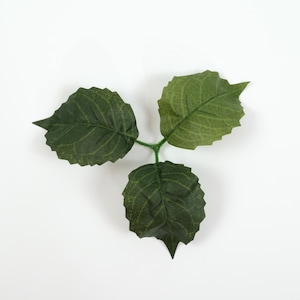 Pode incluir: Três folhas verdes com um caule que as conecta. As folhas estão dispostas em forma triangular.