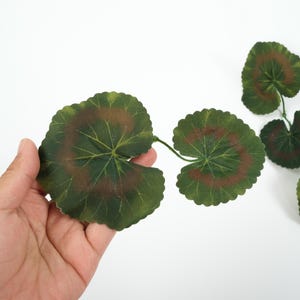 May include: Artificial green leaves with a brown centre, resembling a geranium plant. The leaves are arranged in a row, with the tips of the leaves pointing towards the right side of the image.