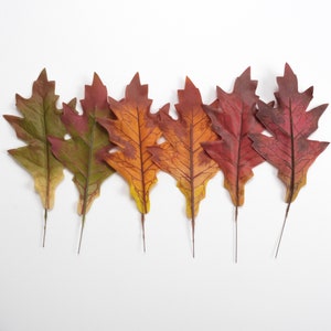 May include: Seven fall-colored leaves arranged in a row on a white background. The leaves are various shades of red, orange, and brown.
