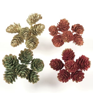 May include: Four sets of pine cone accents in different colors. Each set has six pine cones with a gold glitter finish. The colors are green, red, gold, and a light brown.
