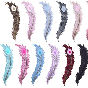 Peut inclure: Assortiment de 12 patchs de broderie en forme de plume de paon dans différentes couleurs, notamment noir, marron, rose, bleu, turquoise, violet et rouge. Chaque patch présente un design détaillé avec un œil de paon.