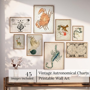 Vintage Zodiac Wall Art Printable Set Celestial Constellation Prints Astrology Digital Download Star Sign Decor Mystic Astronomy Art Bundle