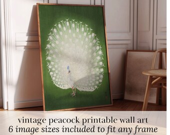 May include: A framed print featuring a white peacock with a fanned tail on a green backdrop. The artwork is in a wooden frame. Text at the bottom reads "vintage peacock printable wall art" and "6 image sizes included to fit any frame."