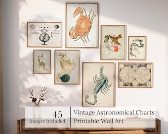 Vintage Zodiac Wall Art Printable Set Celestial Constellation Prints Astrology Digital Download Star Sign Decor Mystic Astronomy Art Bundle