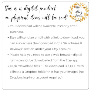 Puede incluir: Fondo blanco con texto: "&iexcl;este es un producto digital, no se enviar&aacute;n art&iacute;culos f&iacute;sicos!" y vi&ntilde;etas que explican el proceso de descarga digital. Incluye un logotipo con el texto "aspen alley studio".