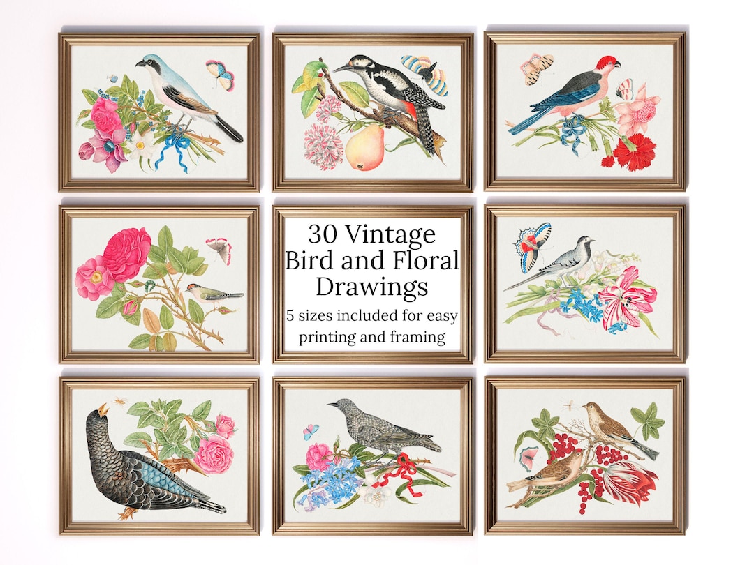 Vintage Bird and Floral Wall Art Printable Set of 30 Botanical ...