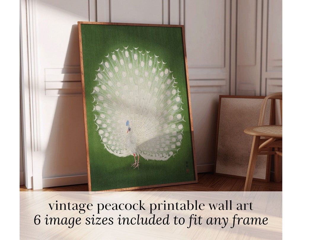 Peacock Wall Art Printable Bird Art Vintage Downloadable Art Peacock ...
