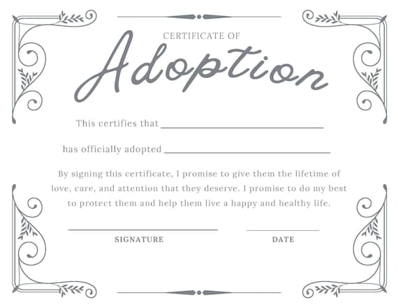 DIGITAL Printable Adoption Certificate vintage - Etsy Canada