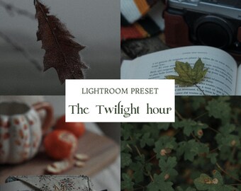 The Twilight Hour | Lightroom Preset | Mobile and Desktop