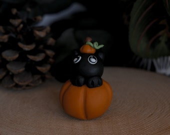 Figurine | Black cat in his pumpkin