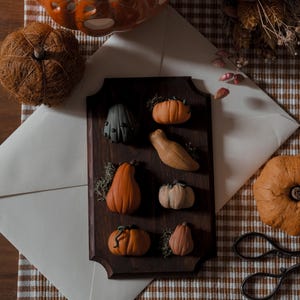 Peut inclure: Une composition automnale avec des mini-citrouilles sur une plaque en bois, une citrouille en céramique, une gourde séchée et une sphère tissée. L'ensemble est disposé sur une nappe à carreaux marron et blanc.