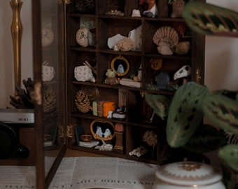 Cabinet of curiosities