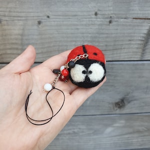 Peut inclure: Un porte-clés en forme de coccinelle en feutre rouge et noir avec des yeux blancs et une chaîne argentée avec des perles noires et rouges.