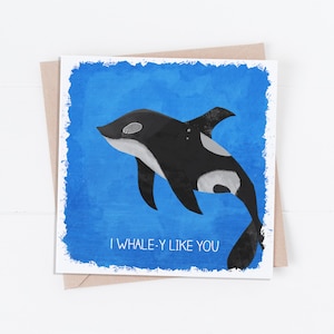 Whale-y Like you (Orca) Valentine&#39;s Day Card /Valentine&#39;s Day Pun/ Happy Valentine&#39;s Day