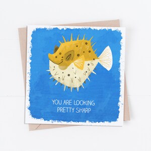 Biglietto di San Valentino dall'aspetto piuttosto nitido (pesce palla) /Gioco di parole di San Valentino/Buon San Valentino