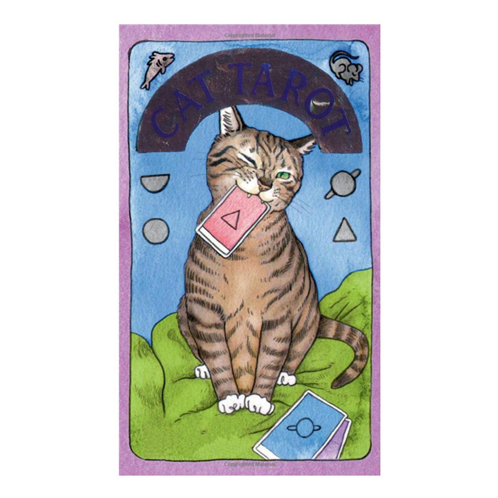 Cat Tarot Deck tarot cards divination cards 78 cards tarot Etsy