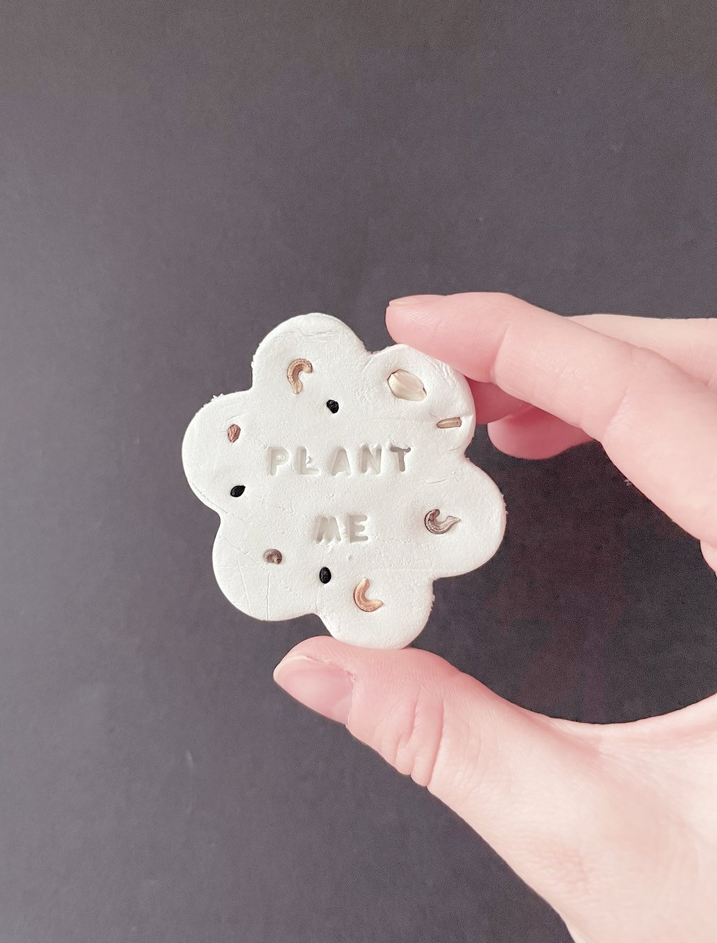 Personalised Plantable Clay seed bombs set of 3 Etsy