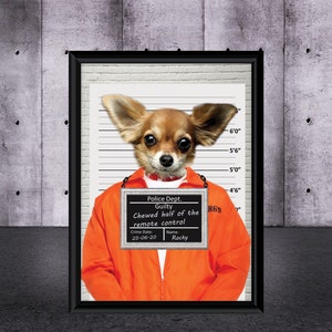 Custom Pet Portrait, Mischievous Dog, Guilty Pet, Mischievous Cat, Criminal Pet, Funny Pet Portrait, Dog Lovers Gift, Naughty Cat,