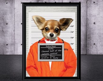 Funny Pet Portrait Etsy