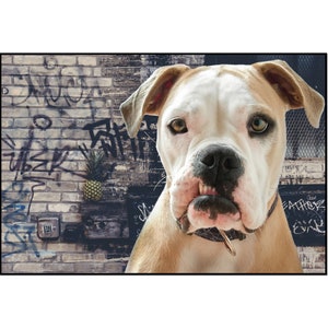 Animais de estimação de estilo urbano, retrato de cachorro personalizado, foto digital de animal de estimação, presente para animal de estimação, cachorro grafite, cartão personalizado, cartão postal de cachorro, foto pessoal de cachorro