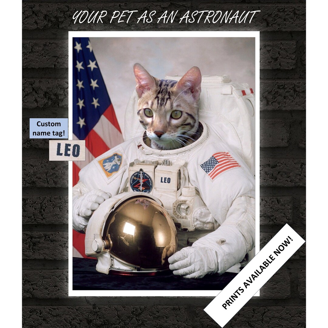 Custom Pet Portrait, Astronaut Cat Portrait, Personalised Pet Portrait