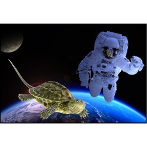 Animaux de compagnie dans l’espace, Portrait personnalisé d’animal familier, Photo personnalisée de tortue, tortue dans l’espace, carte postale de tortue d’espace, tortue d’amusement, carte postale de quarantaine