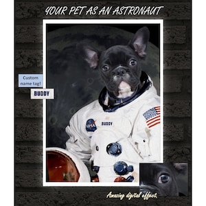 Custom Pet Portrait, Astronaut Cat Portrait, Personalised Pet Portrait, NASA Cat, Space Cat, Cat Lover Gift, Cat Portrait From Photo