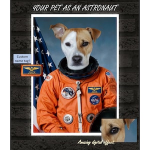 Custom Pet Portrait, Astronaut Cat Portrait, Personalised Pet Portrait, NASA Cat, Space Cat, Cat Lover Gift, Cat Portrait From Photo