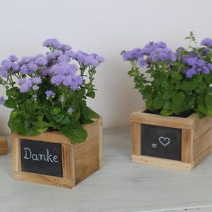 Könnte beinhalten: Zwei Holzpflanzkästen mit Tafelfronten, die jeweils eine lebendige Pflanze mit lila Blüten und grünem Laub enthalten. Auf einem steht das Wort "Danke", auf dem anderen ein Herz.