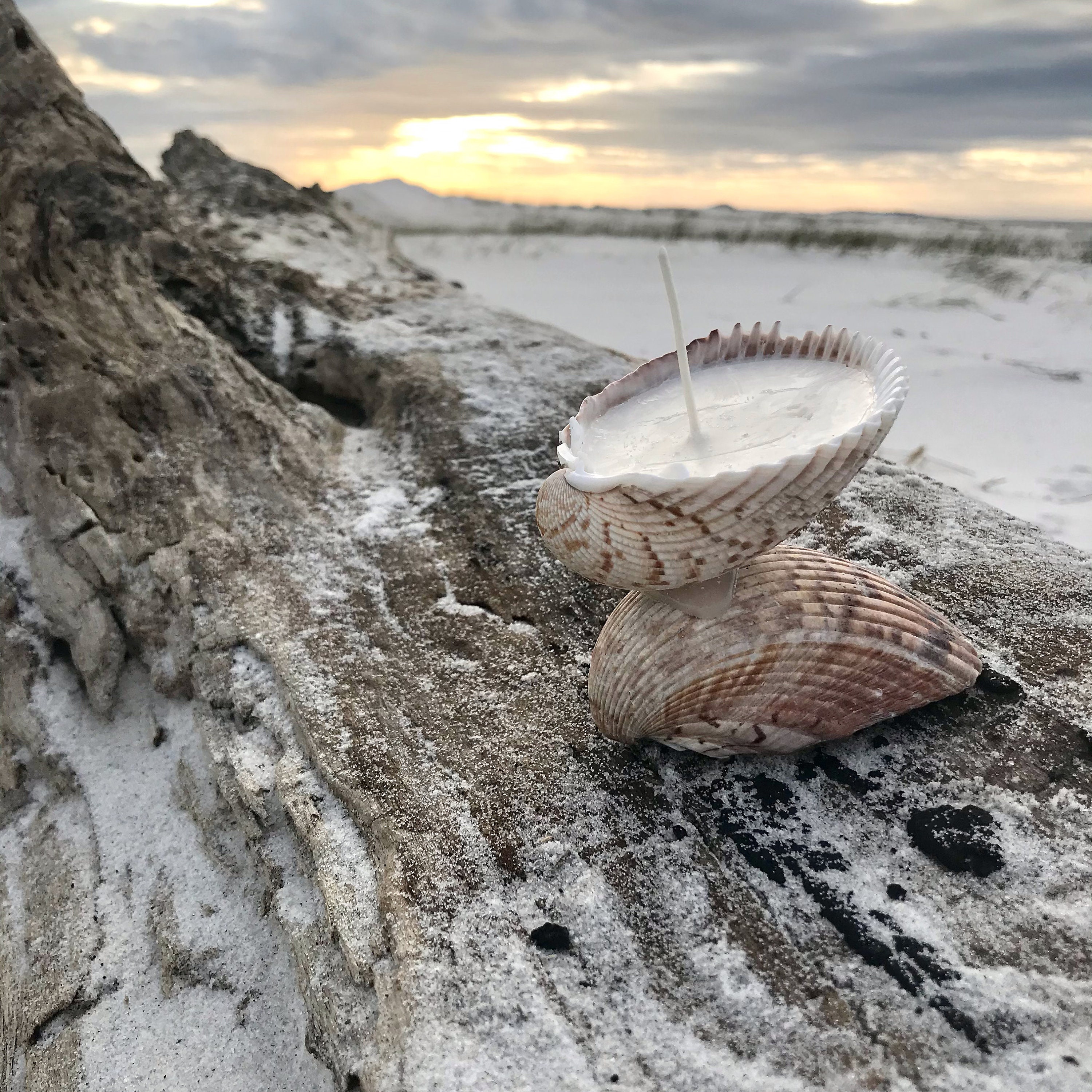 Seashell candle soy wax candle nautical gift handmade Etsy