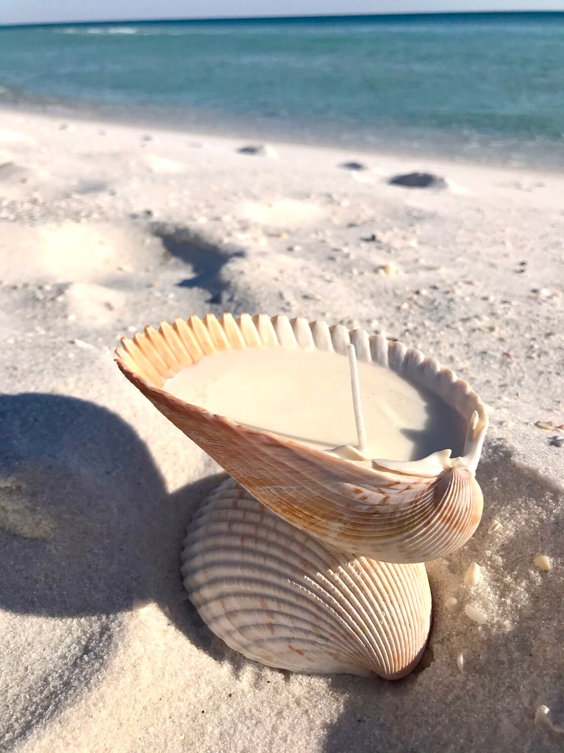 Seashell candle soy wax candle nautical gift handmade Etsy